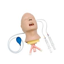 Larry,Adult,Intubation,Head,Airway